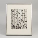 1713 2254 LITOGRAPH IN C..